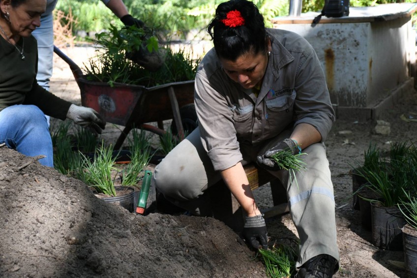 La Ciudad celebrará el Día Mundial del Ambiente